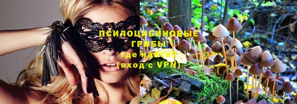 эйфоретик Абинск